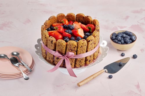 Elovena mustikka-juustokakku (L)