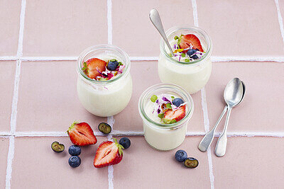 Elovena kauraruoka pannacotta