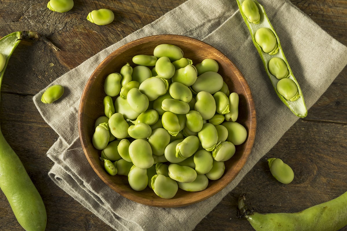 Fava_bean_1200x800