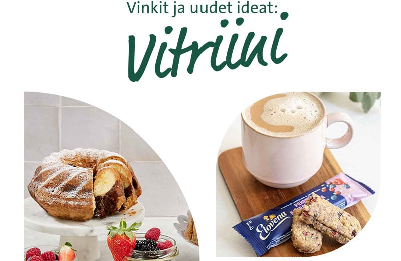 RFS Vitriini-konseptiesite